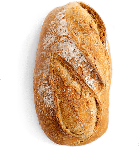 Salt, Rain, and Soil: The Elements That Shape the Western Palate