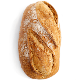 Salt, Rain, and Soil: The Elements That Shape the Western Palate