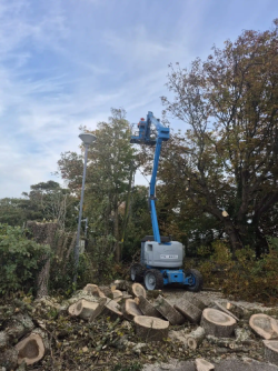 Reimagining Your Outdoor Space: From Chaos to Calm